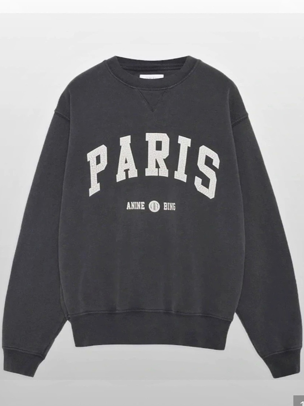 Anine Bing Ramona Sweatshirt Paris in Black & White